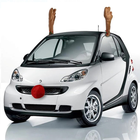 Coarne si Nas pentru Decorarea Automobilului